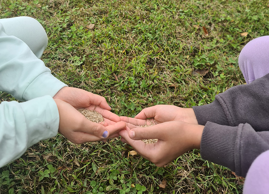 Un orto per i bambini di Vedano Olona 